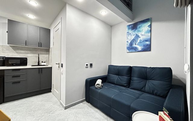 Апартаменты двухуровневые К112