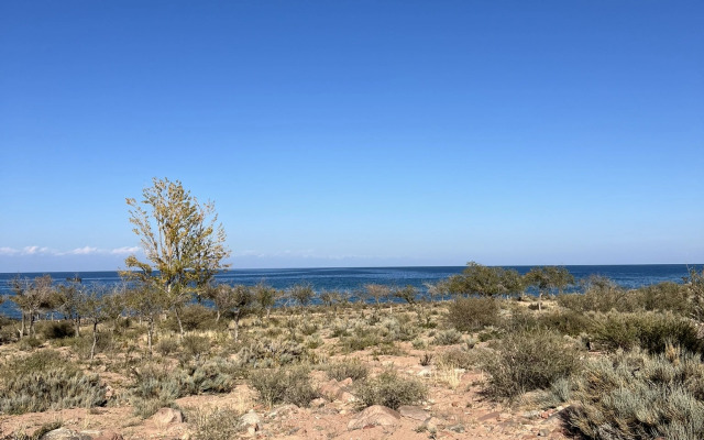 Глэмпинг Oimo Tash Yurt Camp