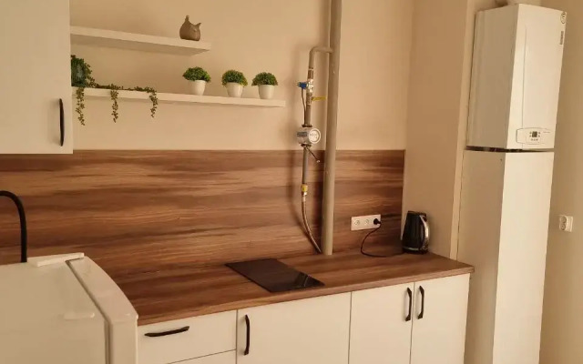 Апартаменты 106 Уютный Дом