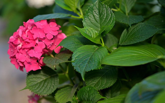 Гостевой дом Морское Небо