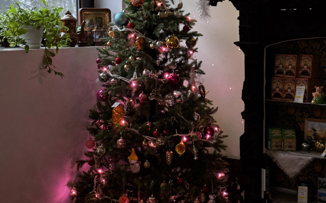 Hostel Galereya Levitan