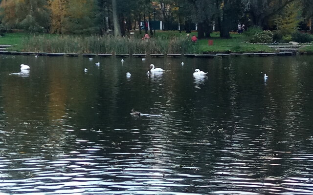 Квартира 2-х комнатная квартира с отдельным входом