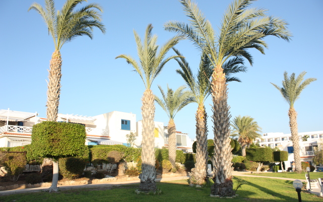 Green Oasis Beach Apartments