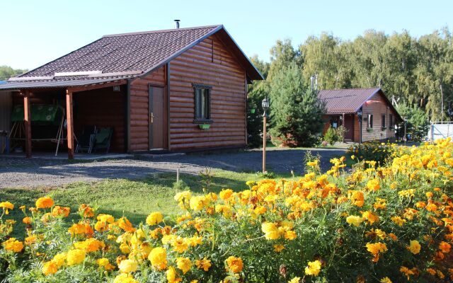 Volkovskoe Guest House