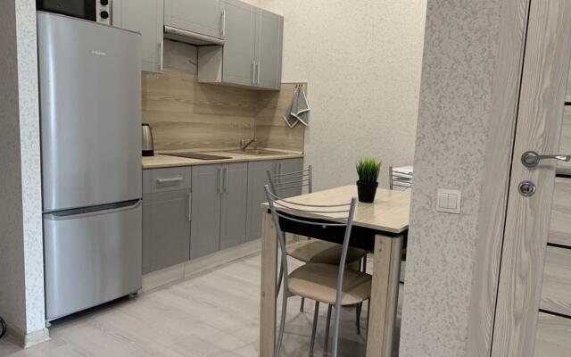 Апартаменты Ленина 43