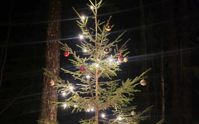 Veykpark Volma Recreation camp