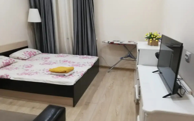 Tsvetnik Kirova Apartments