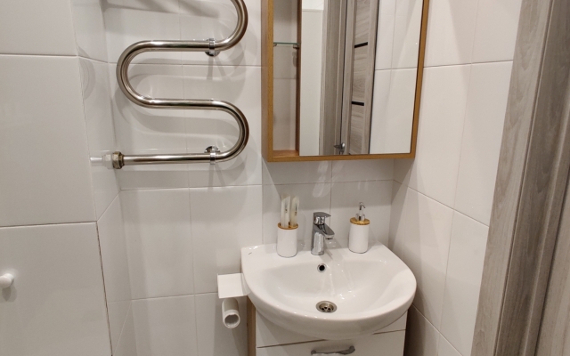 Uyutnaya Studiya U Parka Flat