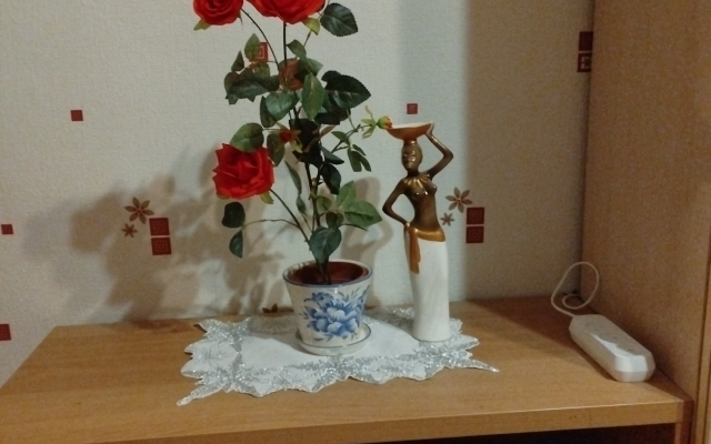 Квартира на Волжской набережной 10