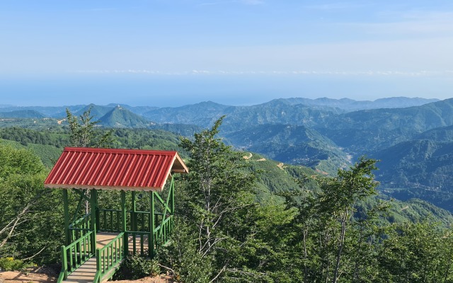 Flora Handüzü Resort & Wellness Bungalow Hotel