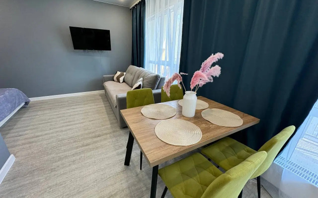 Sibir House Luxe naprotiv Moskovskoy ploshadi Apartments