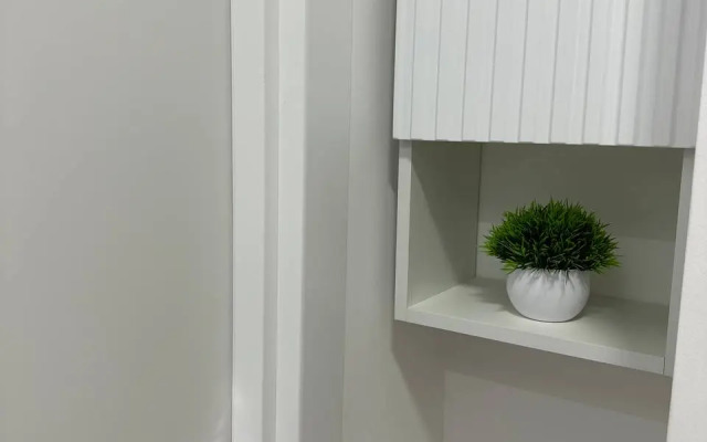 Studiya V Zhzh Prokshino Flat