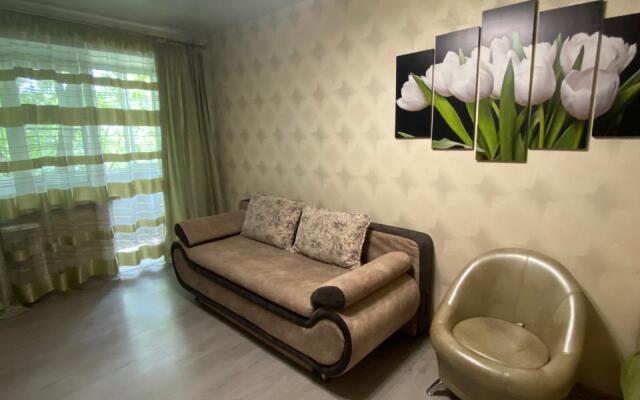 1-K. Kvartira V Tsentre Prospekt Lenina Apartments