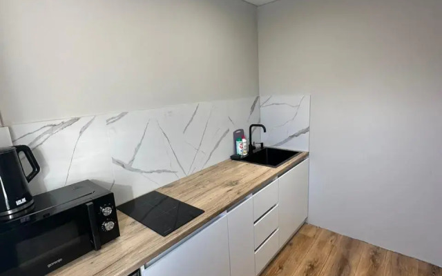 Квартира Люкс в Центре