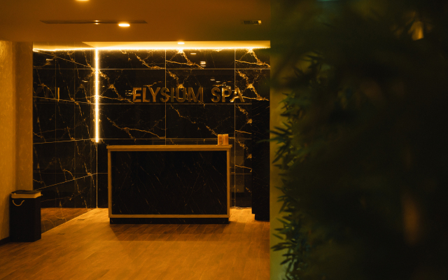 Бутик-отель Villa Elysium Park & SPA