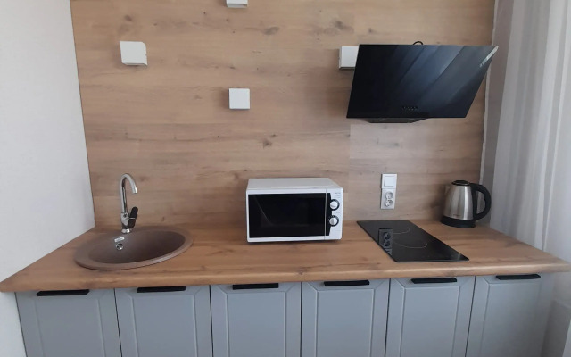 Studiya Parkovom Flat