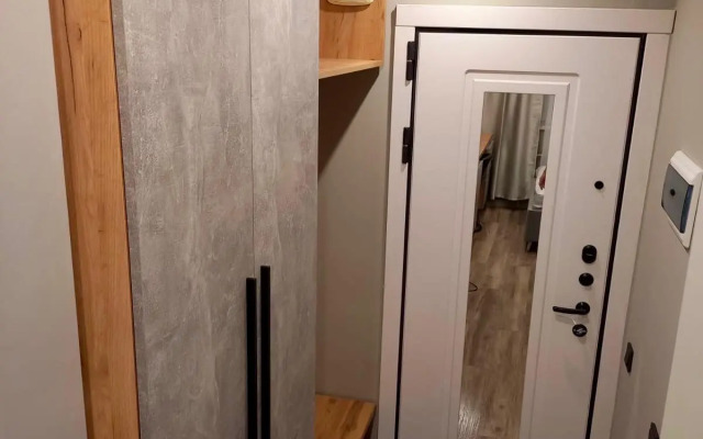 Апартаменты элегантные в гостинице Салют