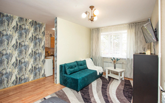 Квартира Однокомнатная на Шорникова 13