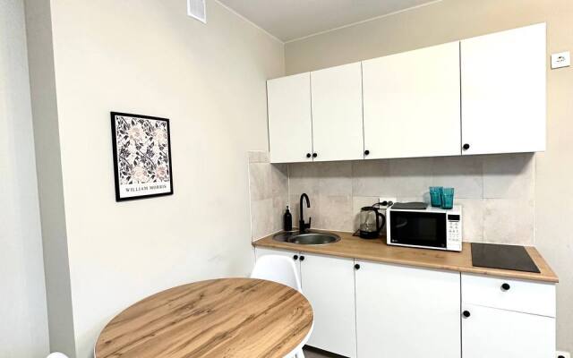 Studiya na Romanovskoy Apartments
