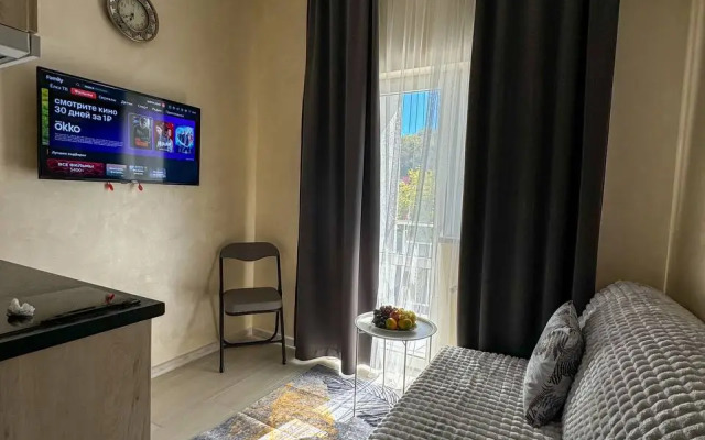 Апартаменты Студия в Отеле Клевер