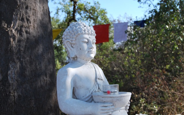 Гостевой Дом Buddha Peaceful Oasis