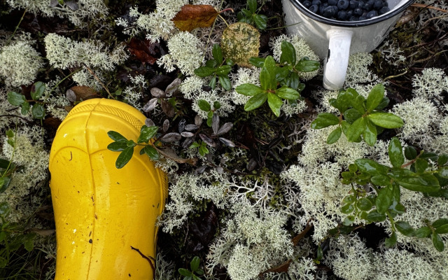 Глэмпинг Гиперборея