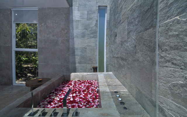 Villa Ashoka Canggu