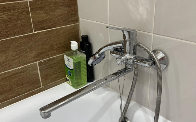 U Tsentralnogo Parka Apartaments