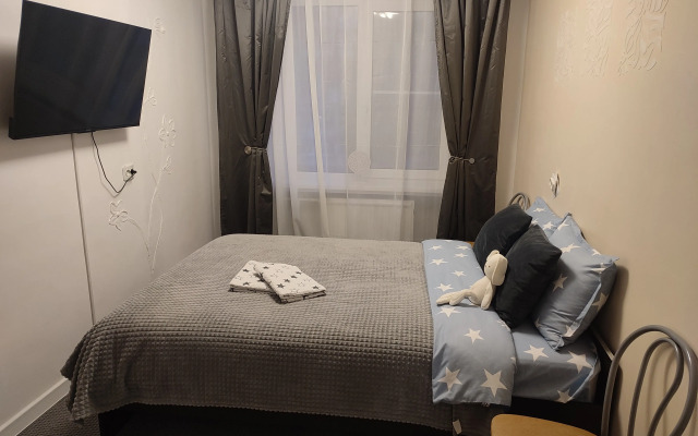U Ledovogo Dvortsa Apartaments