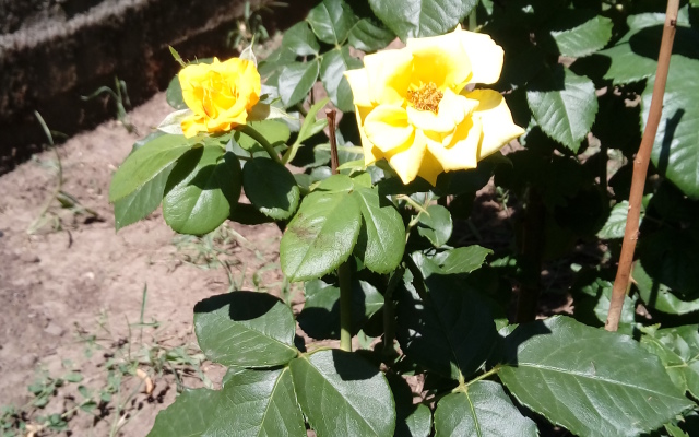 Гостевой дом на Стасова