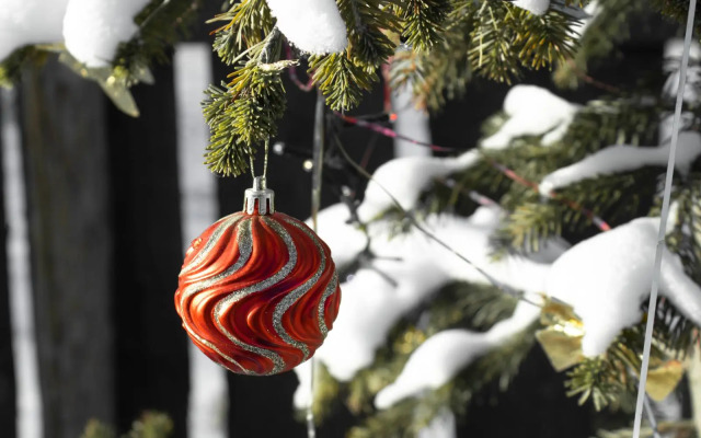 Частный Дом Хай-Тэк на Малиновой 4