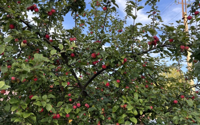 Гостевой дом Русский с баней у озера