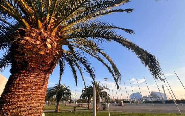 Sezam Formula 41 Apartments