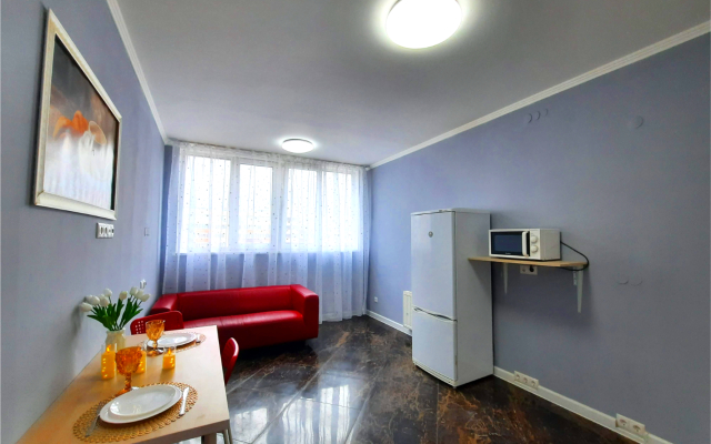 The Loft Odnokomnatnaya kvartira u metro Novokosino Apartments