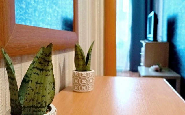 Khudozhnik Zhdyot Svoikh Gostey Flat