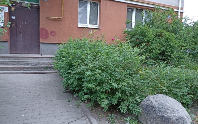 "Baltiicyi nochi" u Verhnego Ozera i Yantarya Flat