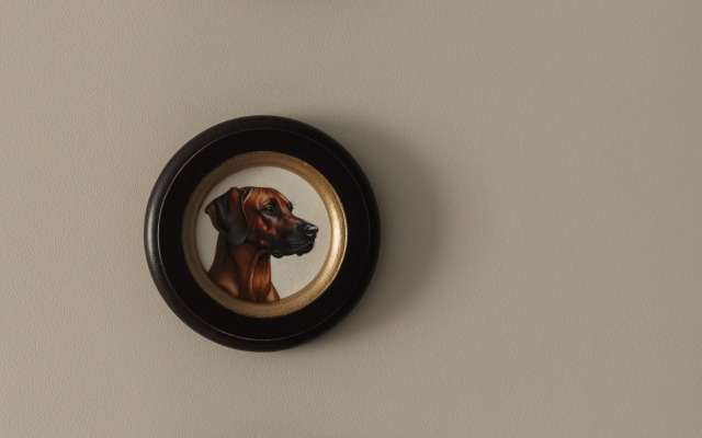 Апартаменты однокомнатные roomroom Джентльмены