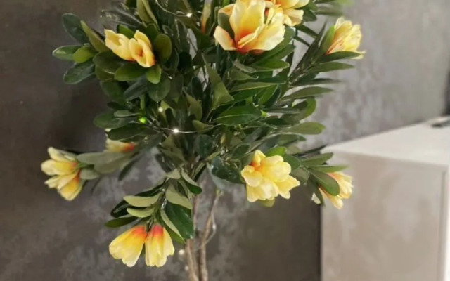 Квартира на Беговой улице