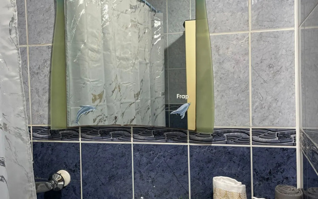 Квартира в центре Александровского