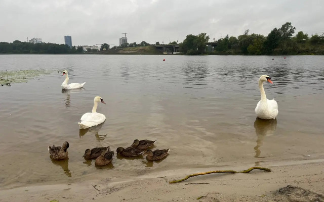 Уютная трехкомнатная квартира в центре города Бреста