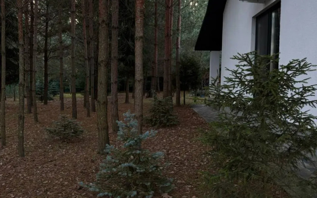 Premialny Semeyny Dom V Sosnovom Lesu Private house