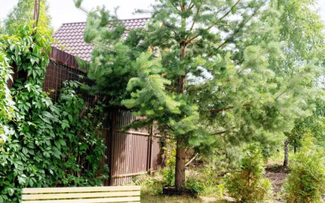 Studiya v Chastnom Dome s Basseynom i Spa Kompleksom Apartment