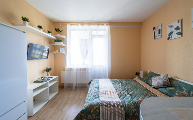 The Best Kudrovo Flat