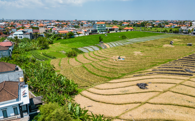 Jungle Amaranth Canggu – Exclusive 3BR Retreat with Pool, Modern Amenities and Top Location Villa