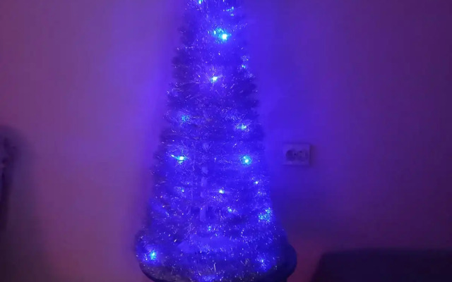 Квартира Лавриненко 13