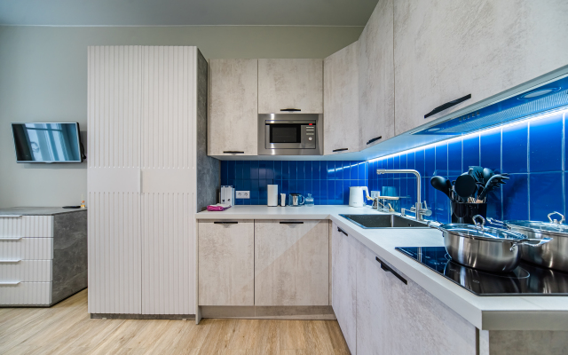 U Vitebskogo Vokzala I Metro Pushkinskaya Flat
