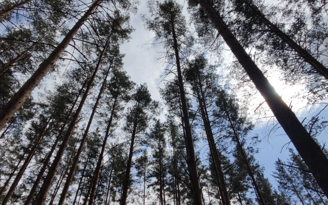 База Отдыха Целебные Кудесы