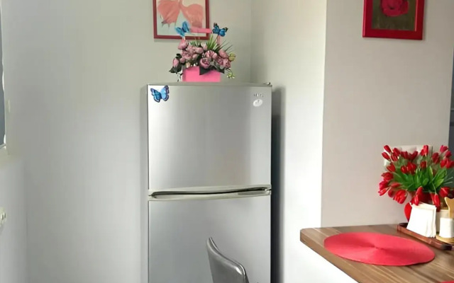 Uyutnaya Prostornaya Yevrodvushka S Vidom Na Goru Flat
