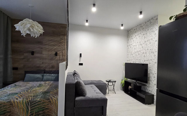 Квартира на Сергея Жадобкина 11