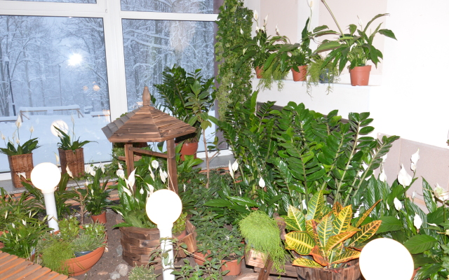 Санаторий Марциальные Воды